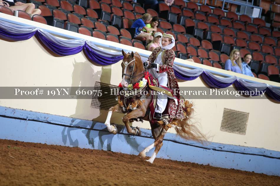 Proof 19YN_06075