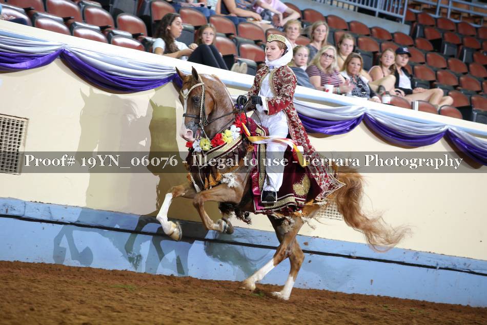 Proof 19YN_06076
