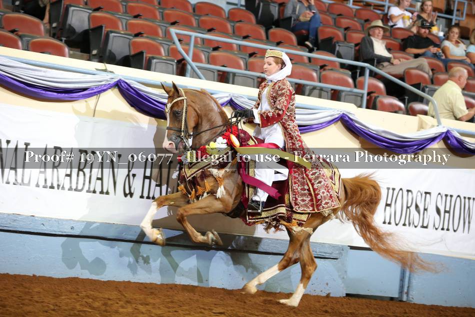 Proof 19YN_06077