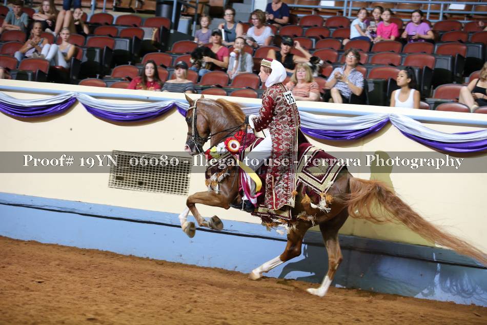 Proof 19YN_06080