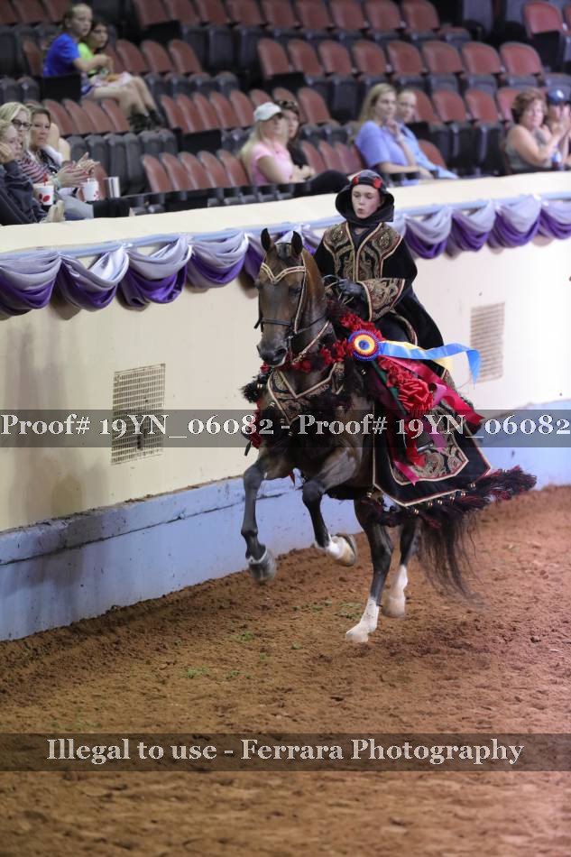 Proof 19YN_06082