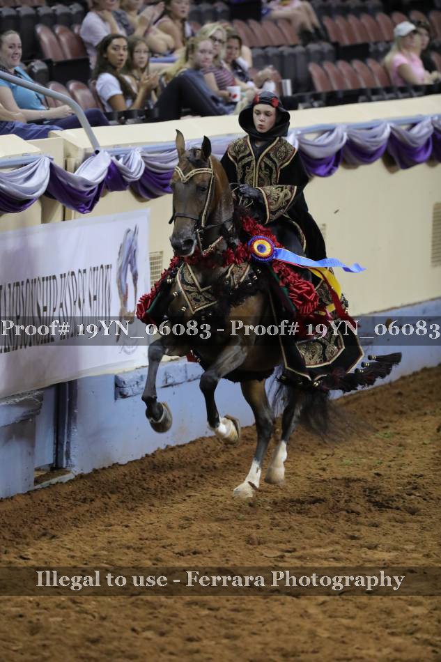 Proof 19YN_06083