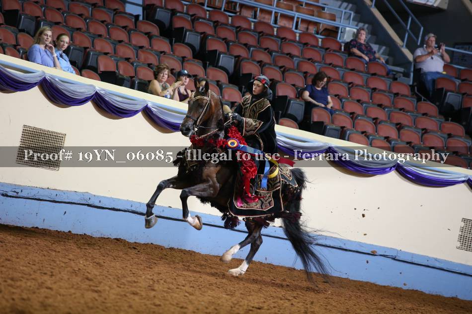 Proof 19YN_06085