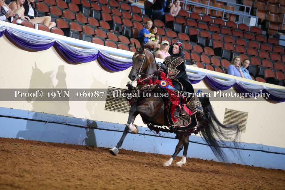 Proof 19YN_06087