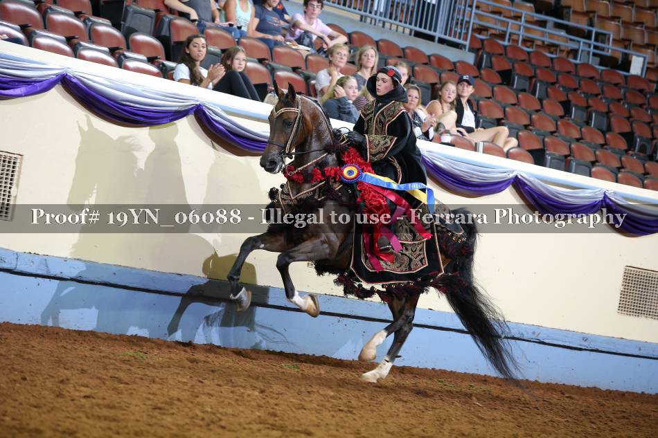 Proof 19YN_06088