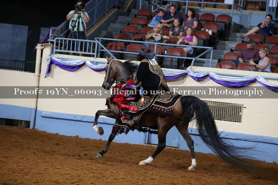 Proof 19YN_06093