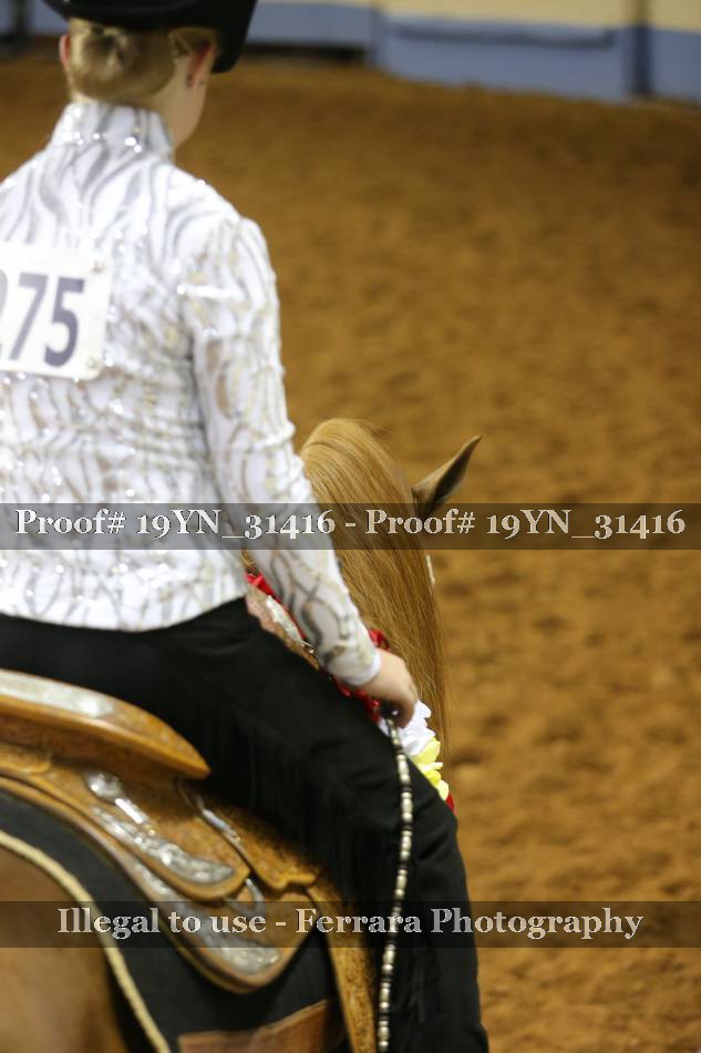 Proof 19YN_31416