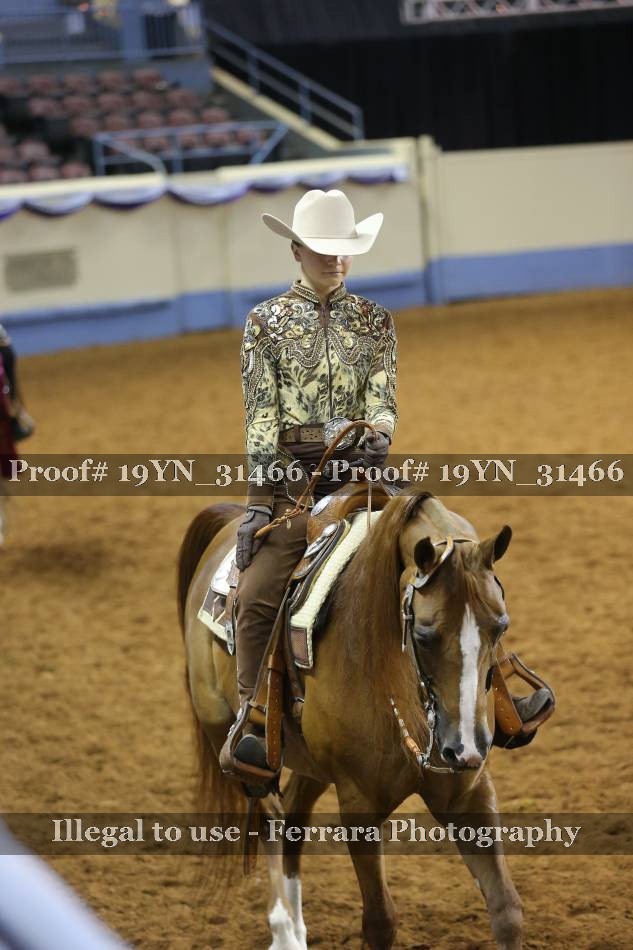 Proof 19YN_31466