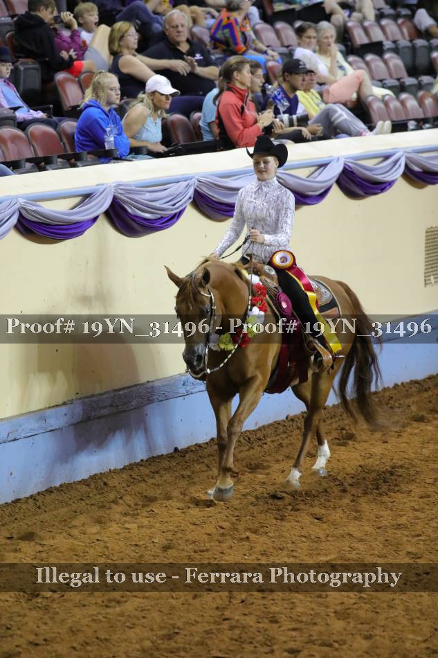 Proof 19YN_31496