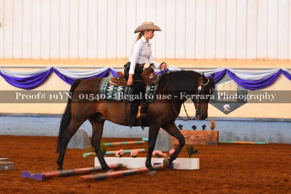 Proof 19YN_01540