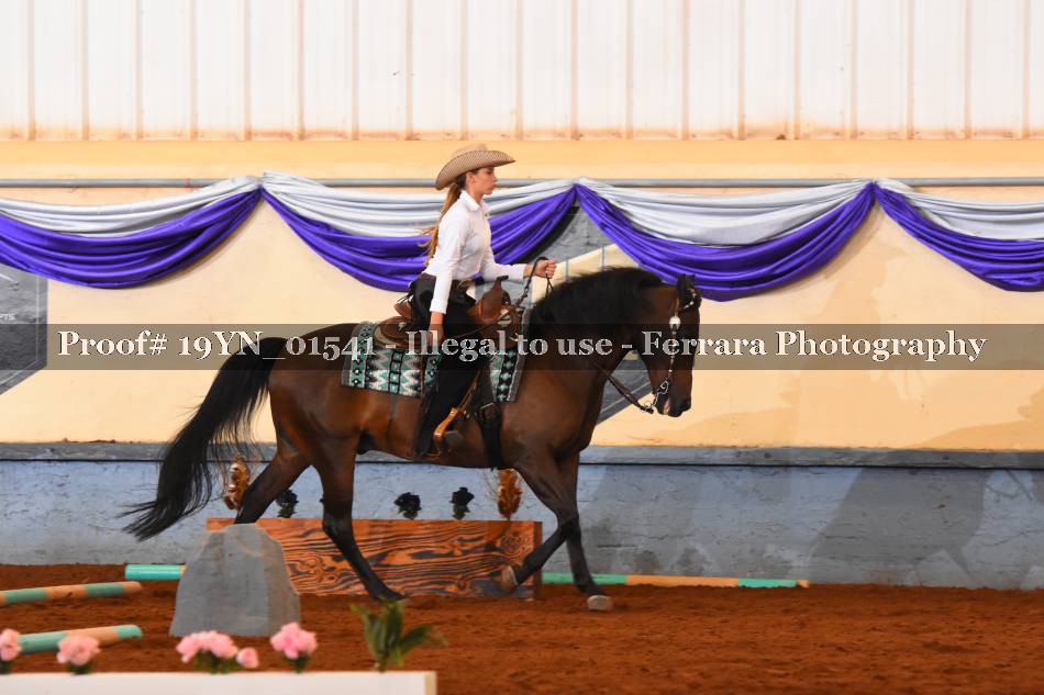 Proof 19YN_01541