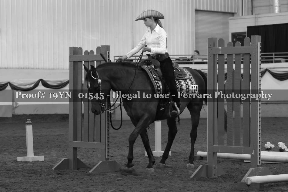 Proof 19YN_01545