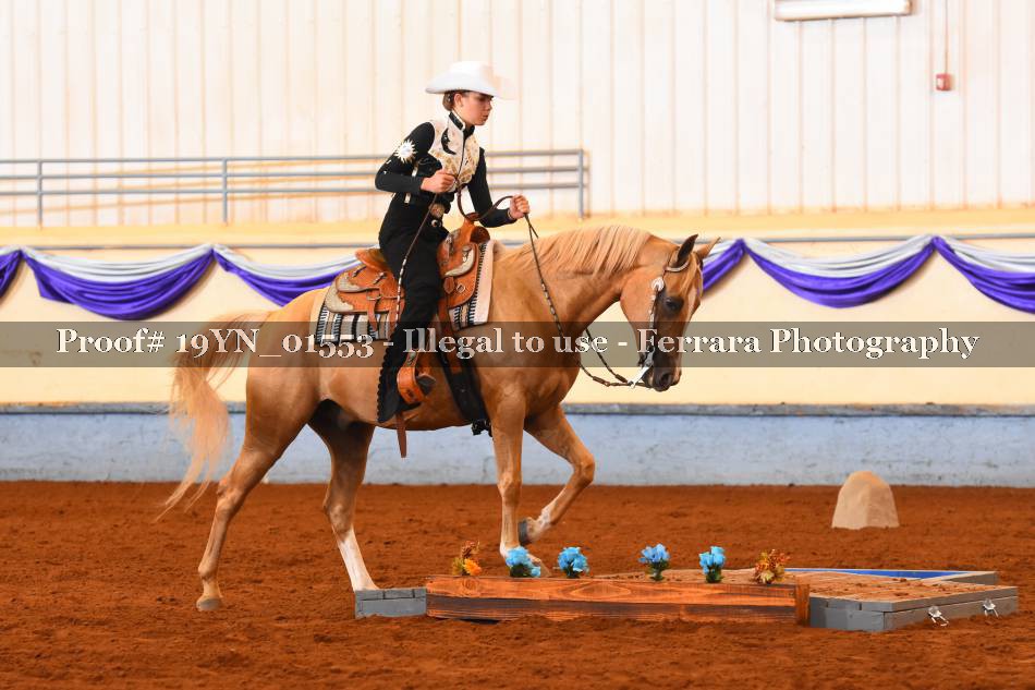 Proof 19YN_01553