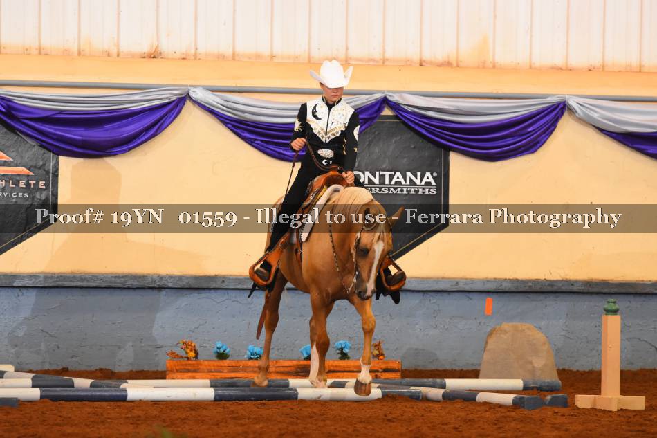 Proof 19YN_01559