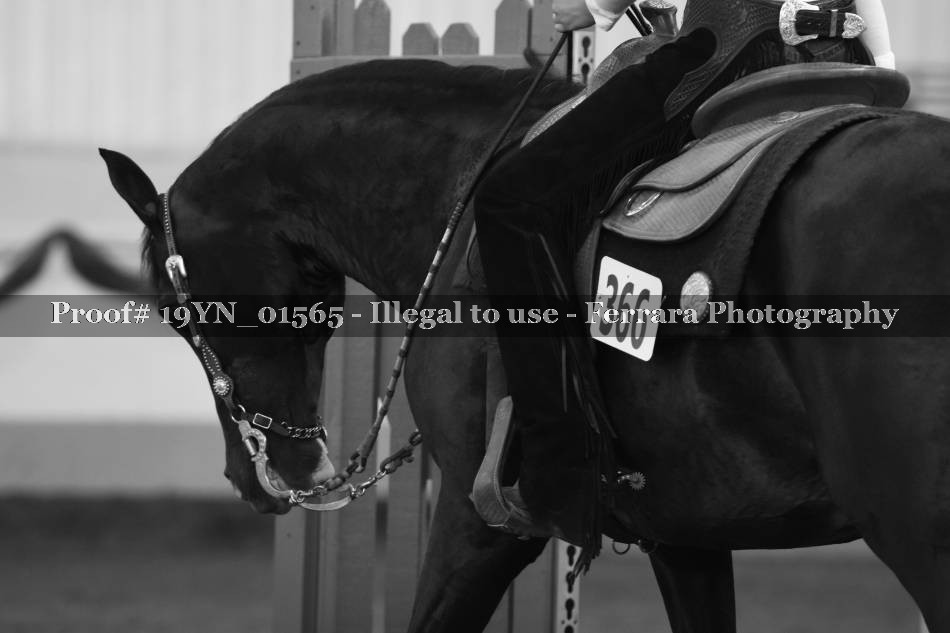 Proof 19YN_01565