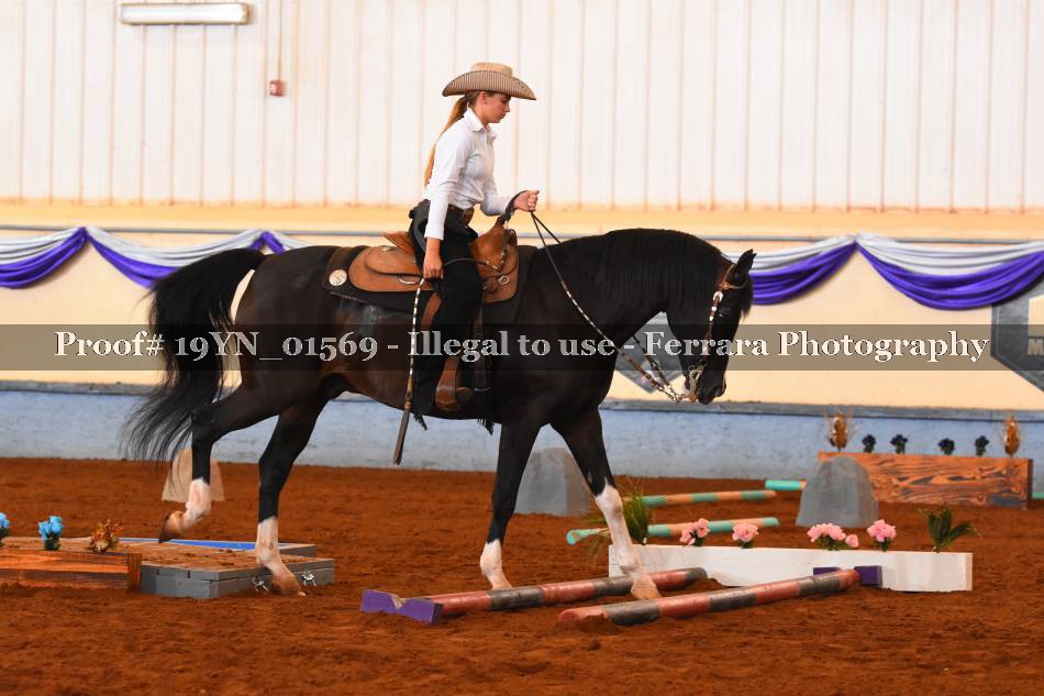 Proof 19YN_01569