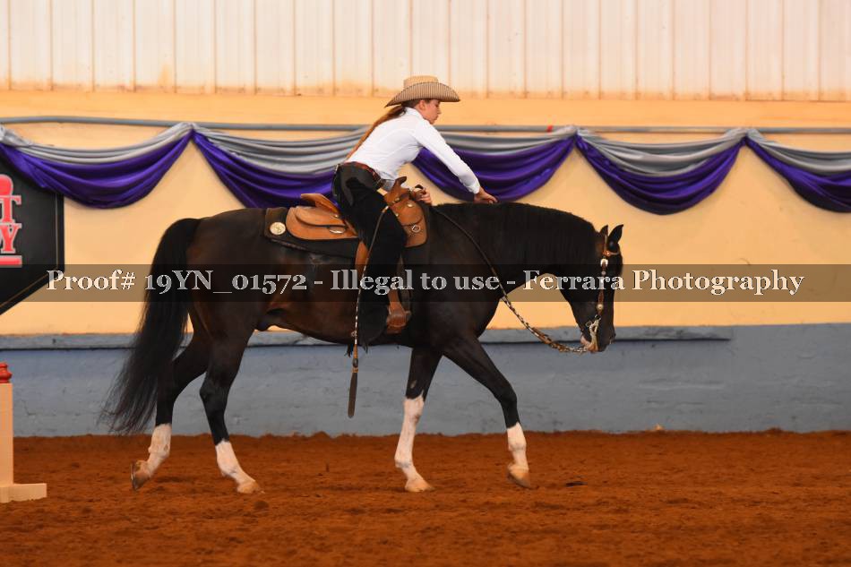 Proof 19YN_01572