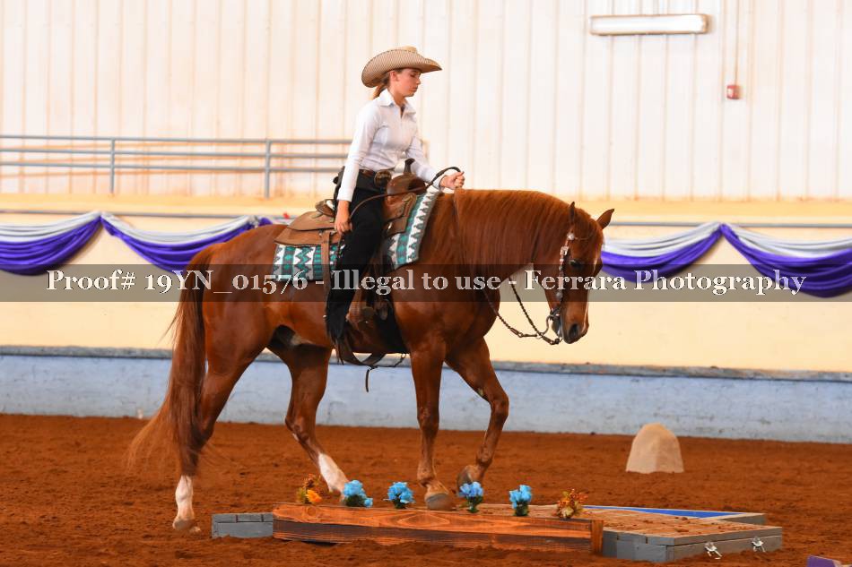 Proof 19YN_01576