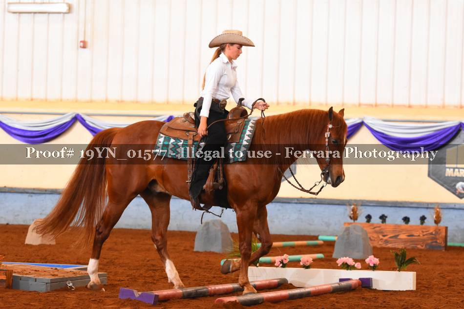 Proof 19YN_01577