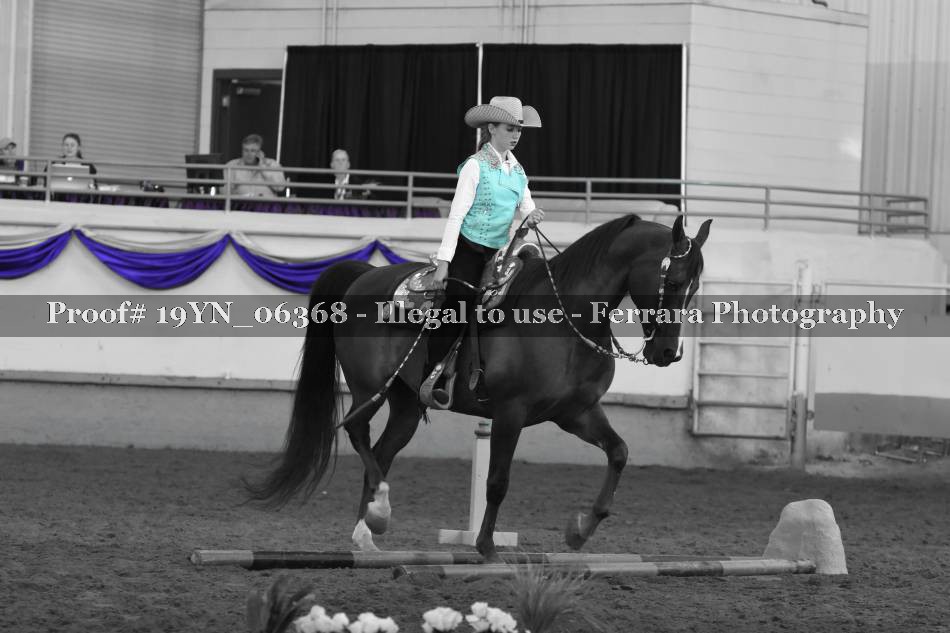 Proof 19YN_06368