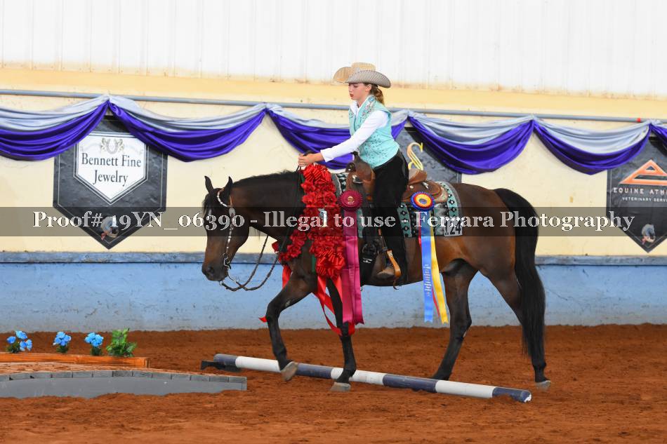 Proof 19YN_06390