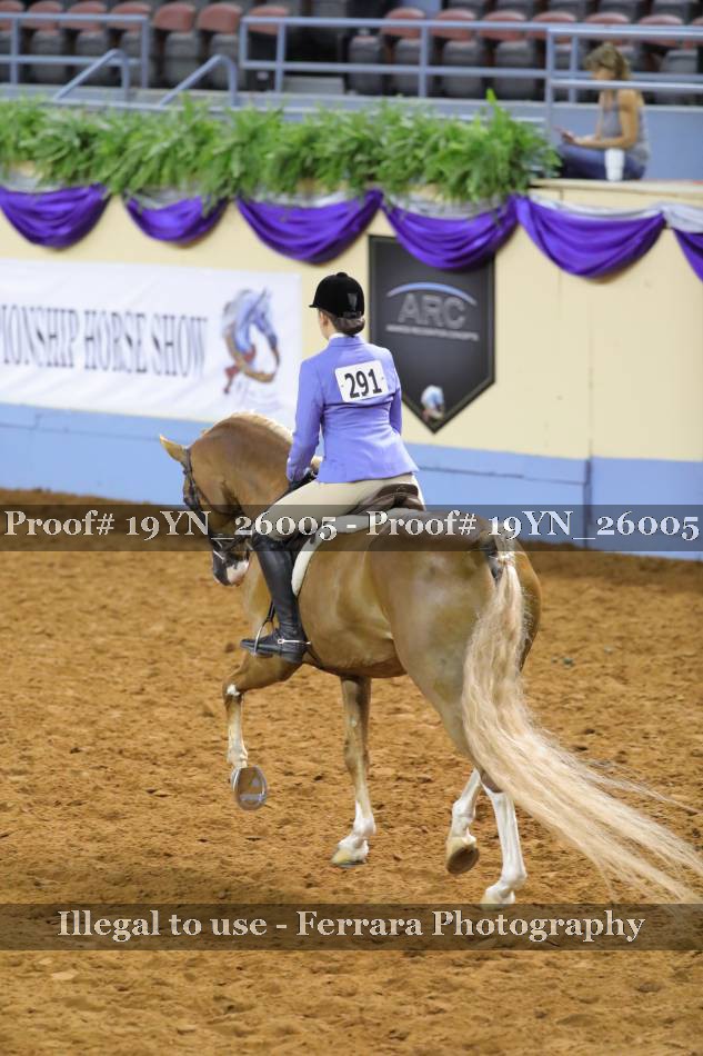 Proof 19YN_26005