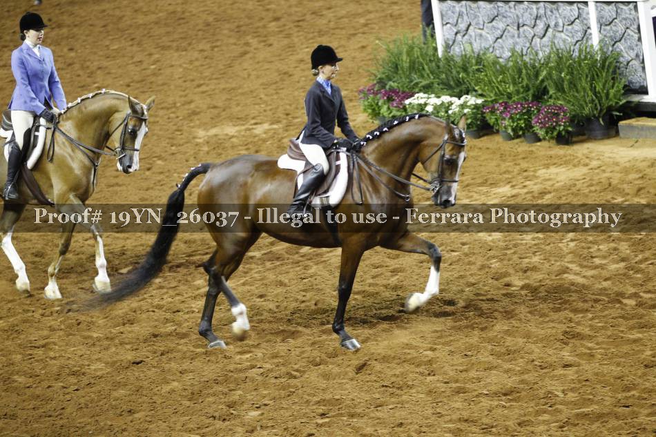 Proof 19YN_26037