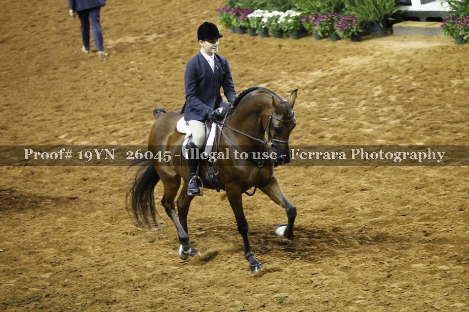 Proof 19YN_26045