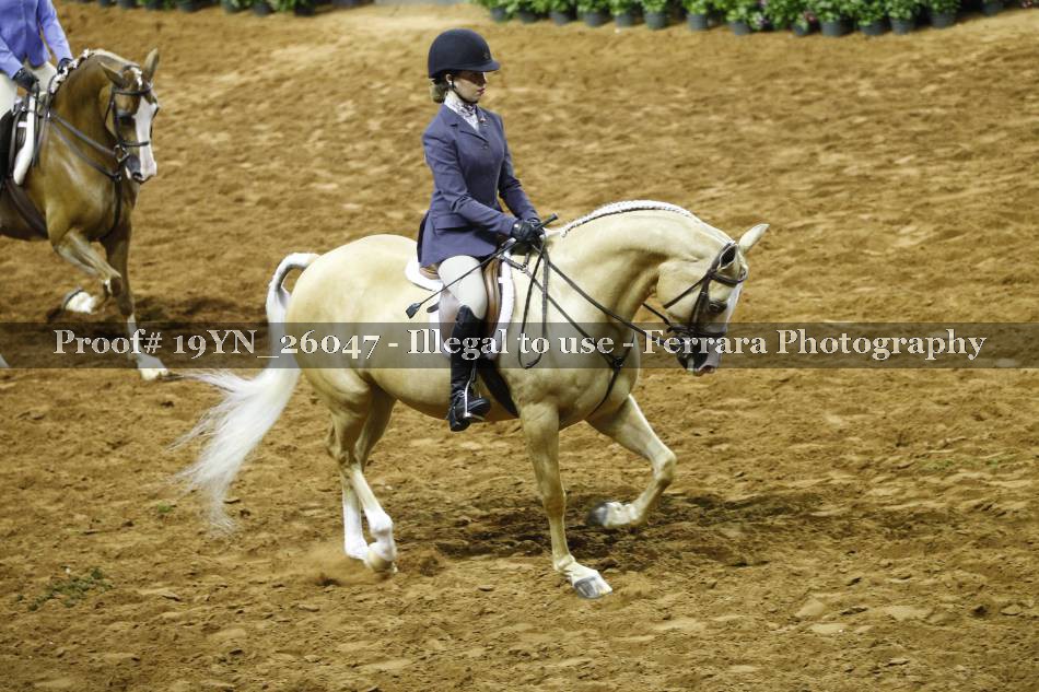 Proof 19YN_26047