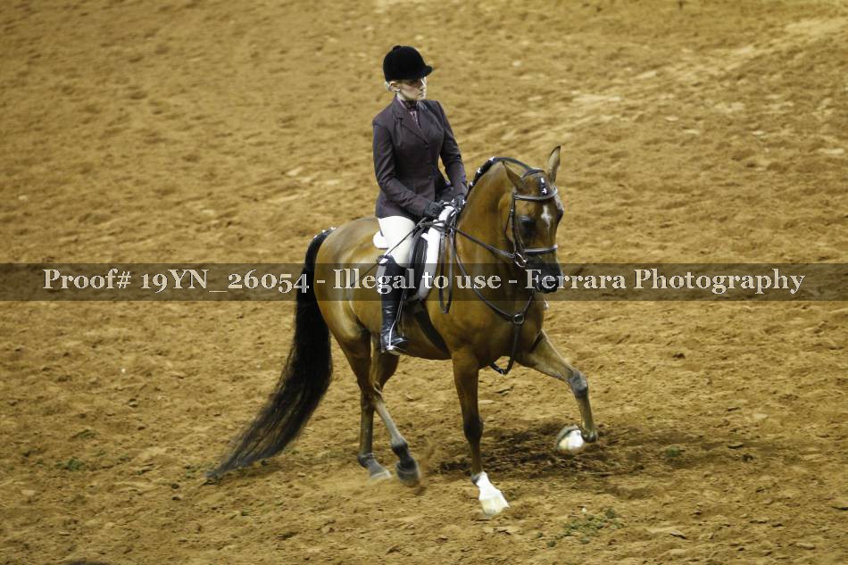 Proof 19YN_26054
