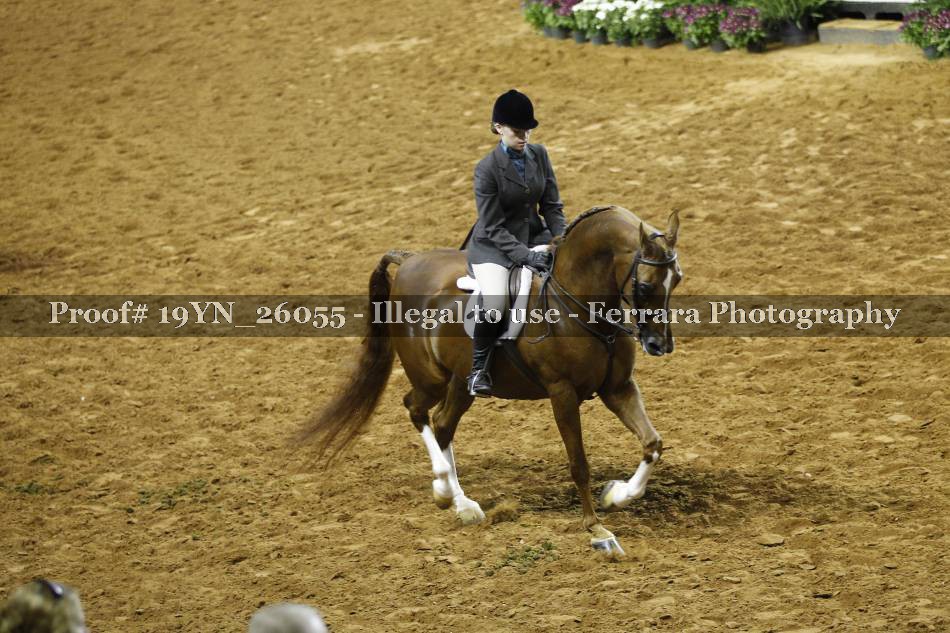 Proof 19YN_26055