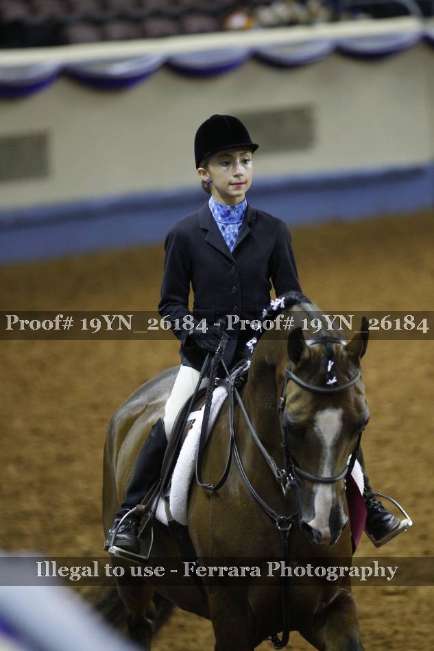 Proof 19YN_26184