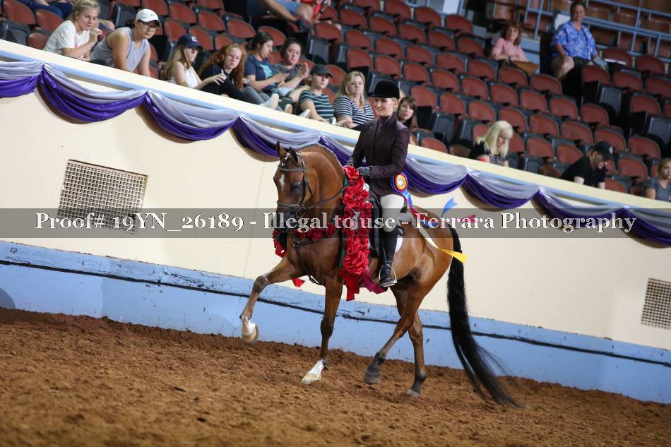 Proof 19YN_26189
