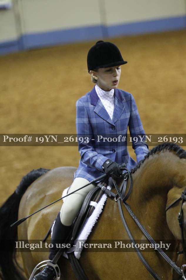 Proof 19YN_26193