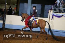 19YN_26200 proof