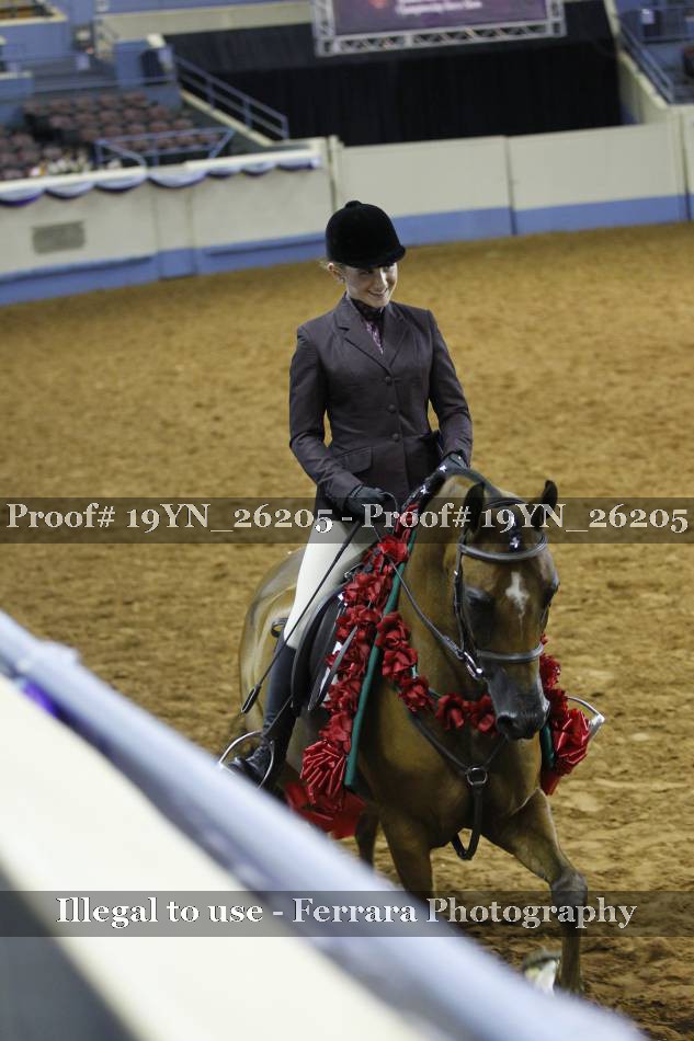 Proof 19YN_26205