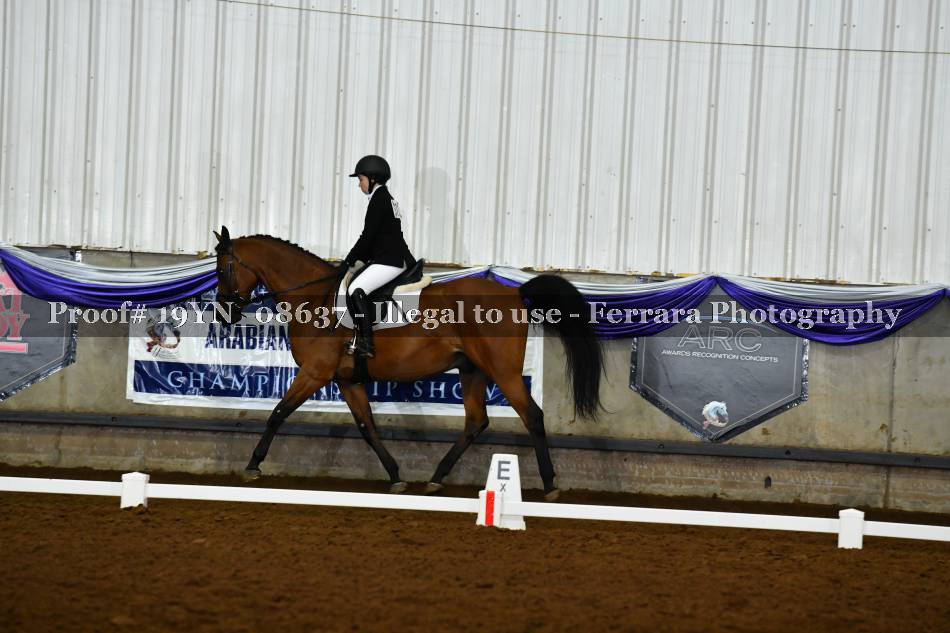 Proof 19YN_08637