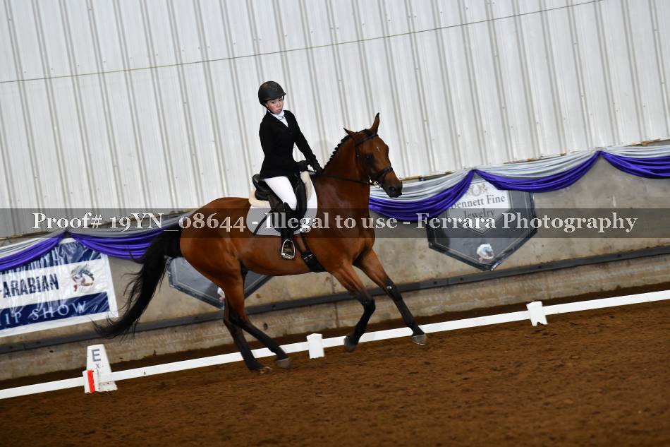 Proof 19YN_08644