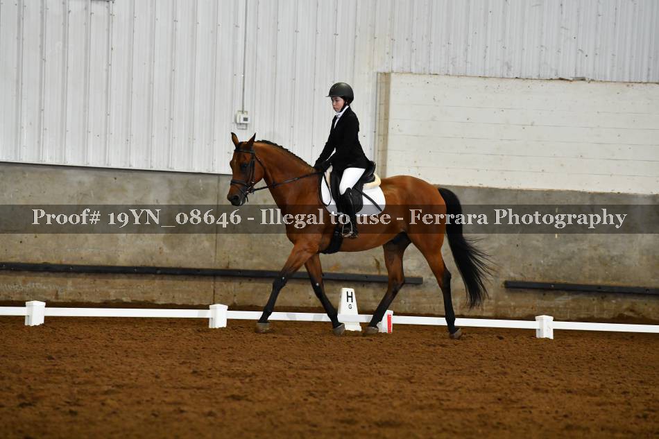 Proof 19YN_08646