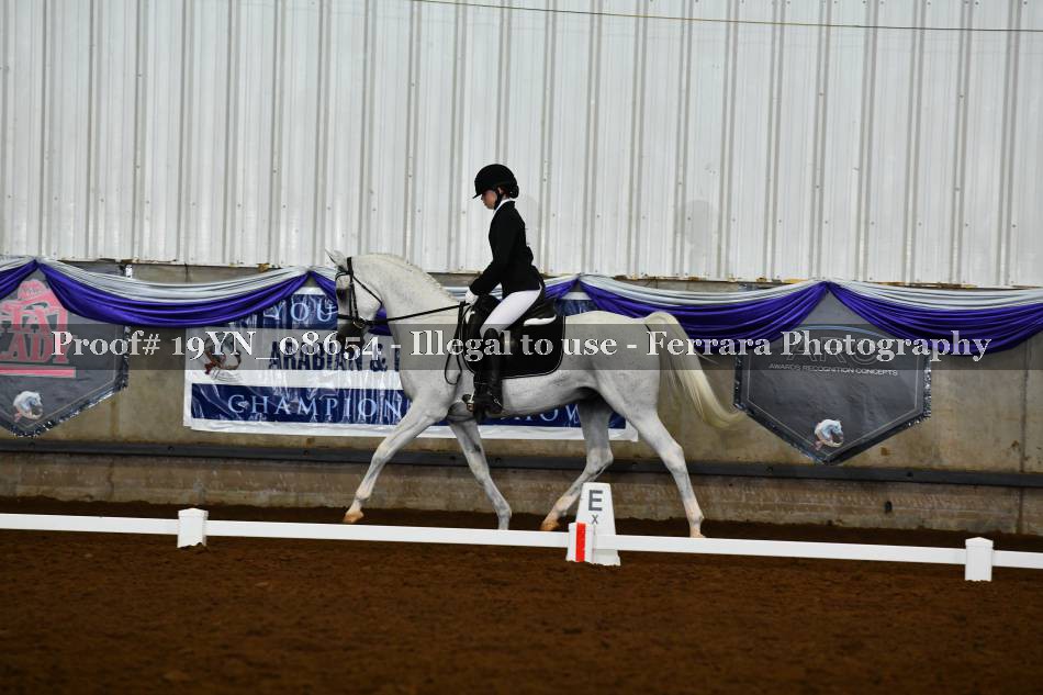 Proof 19YN_08654