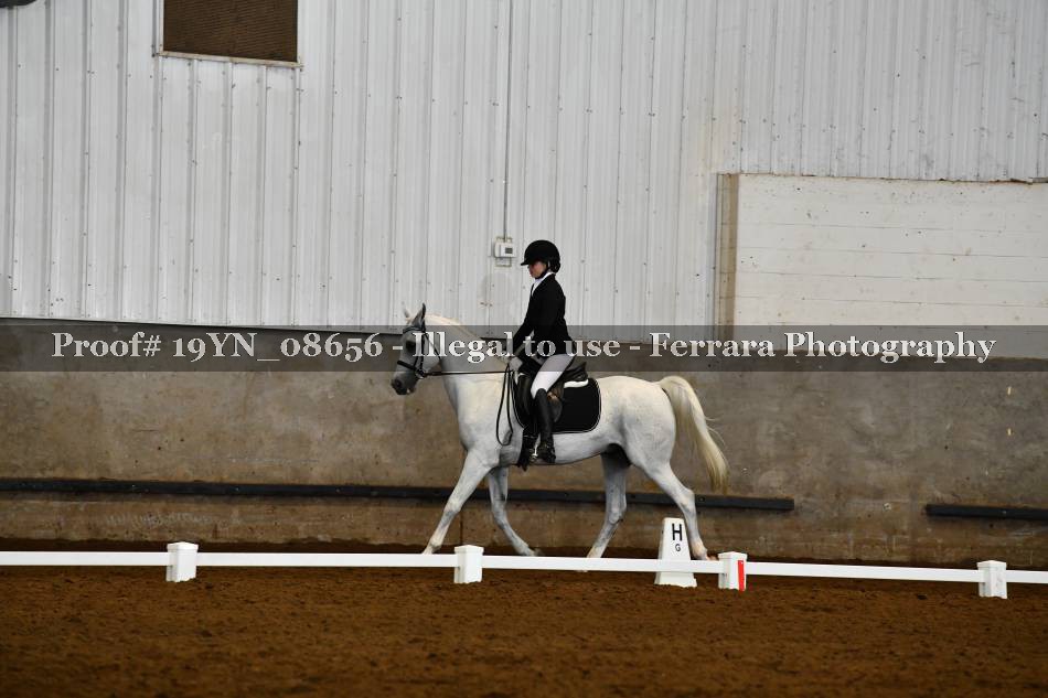 Proof 19YN_08656