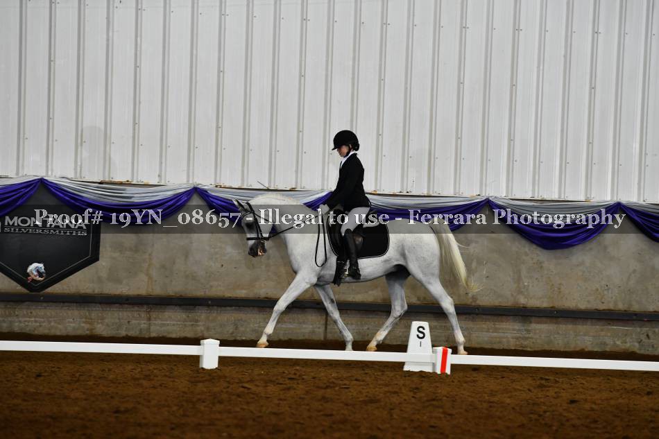 Proof 19YN_08657