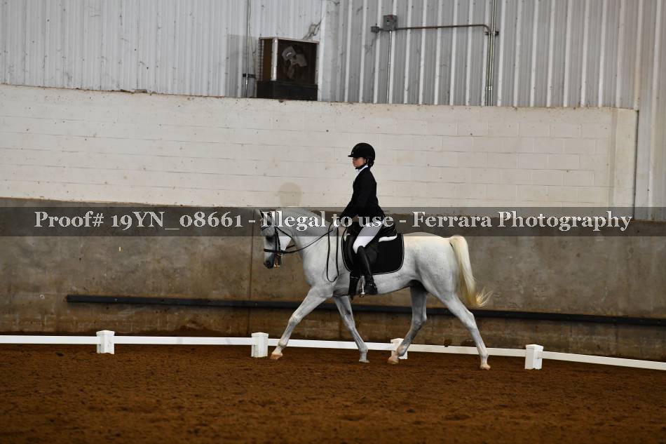 Proof 19YN_08661