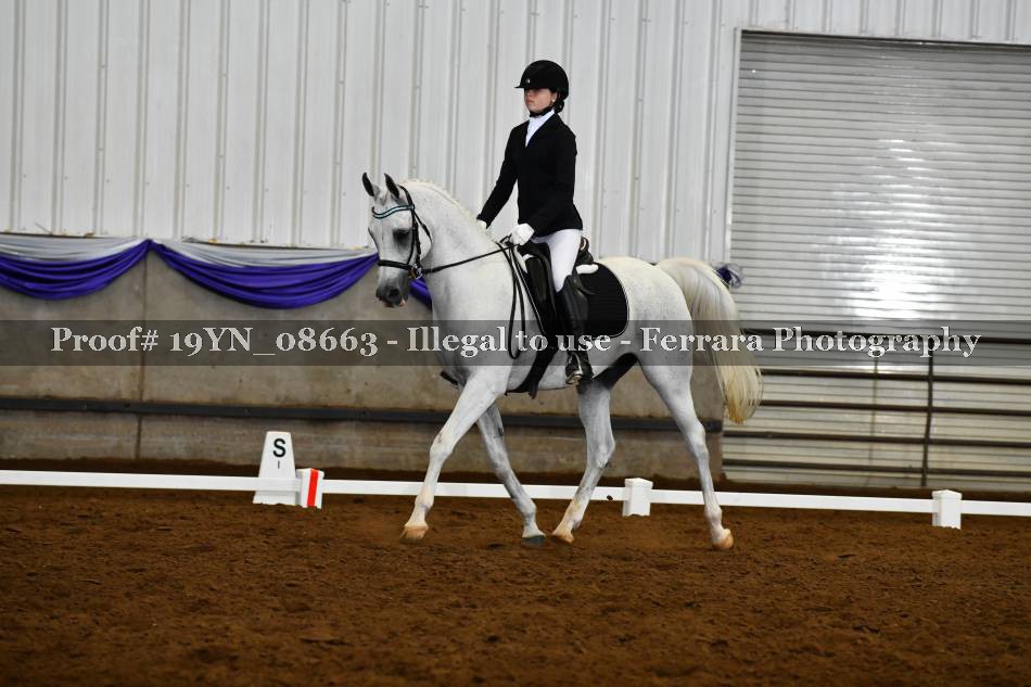 Proof 19YN_08663