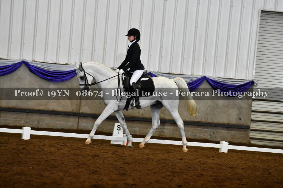 Proof 19YN_08674
