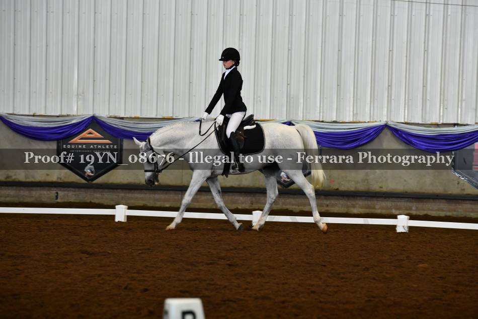 Proof 19YN_08676