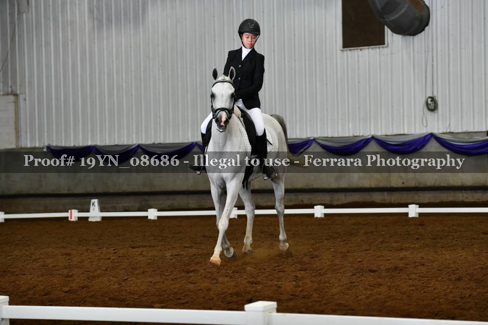 Proof 19YN_08686