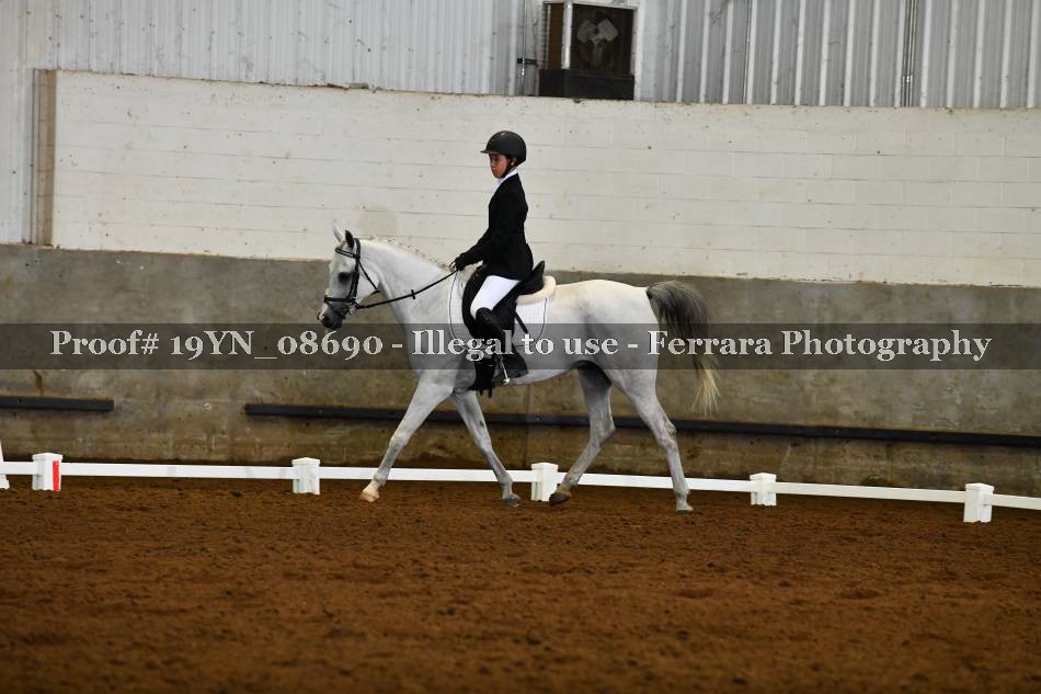 Proof 19YN_08690
