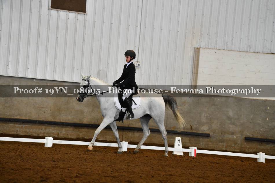 Proof 19YN_08695