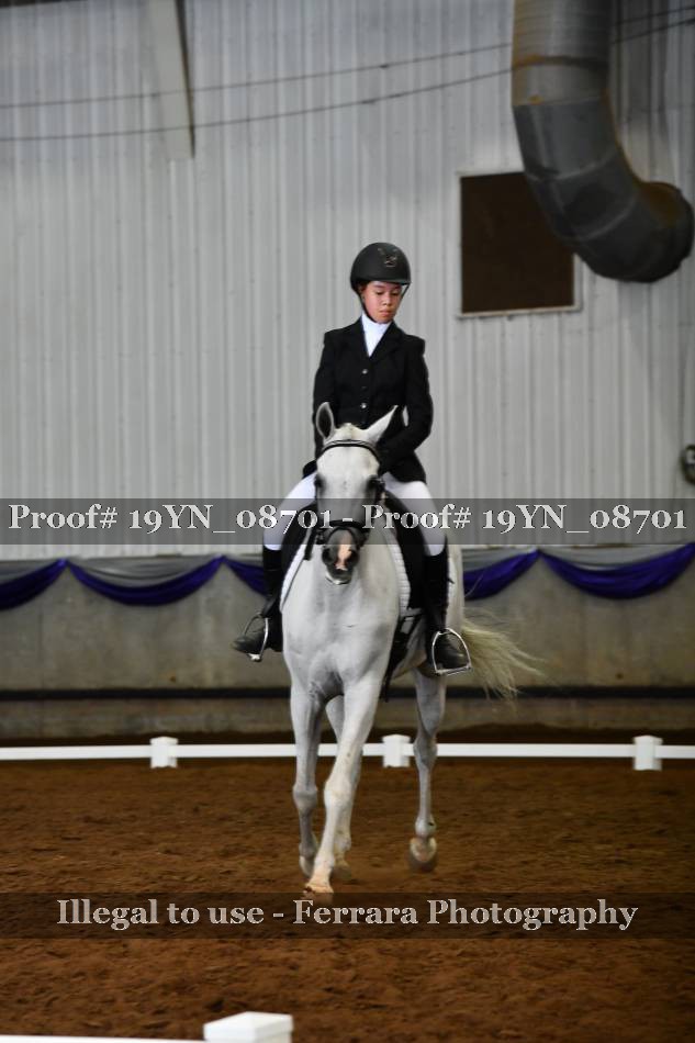Proof 19YN_08701